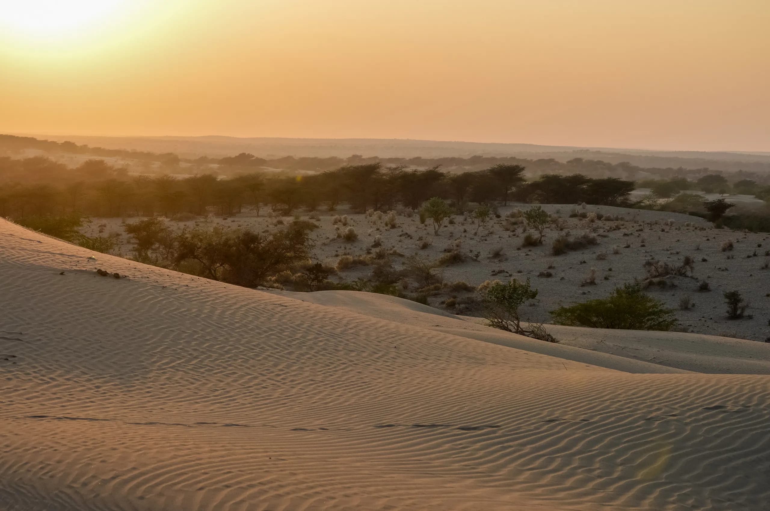 Royal Rajasthan Group Tour with Jaisalmer Desert Stay