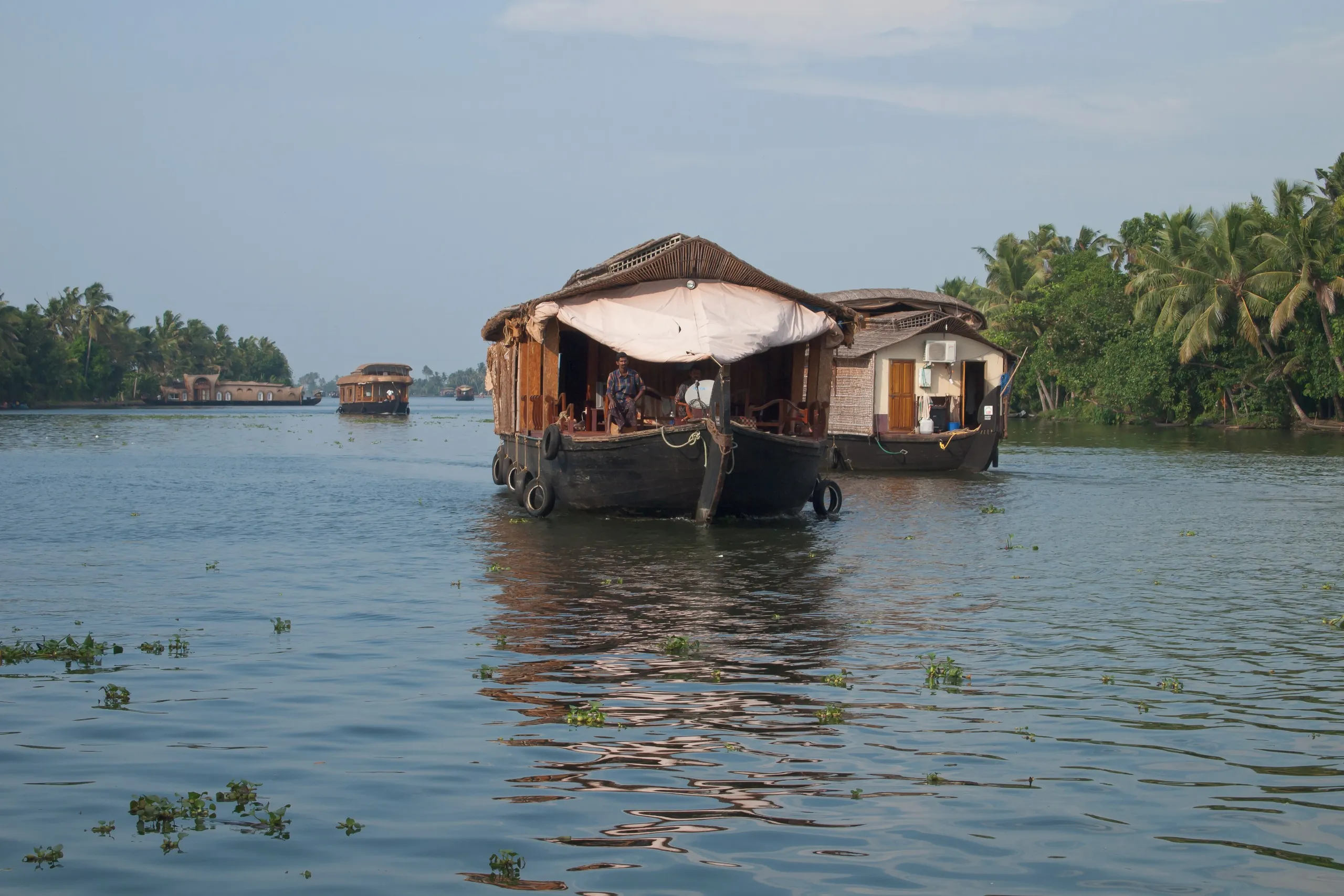 Kerala Backwaters & Munnar Hills