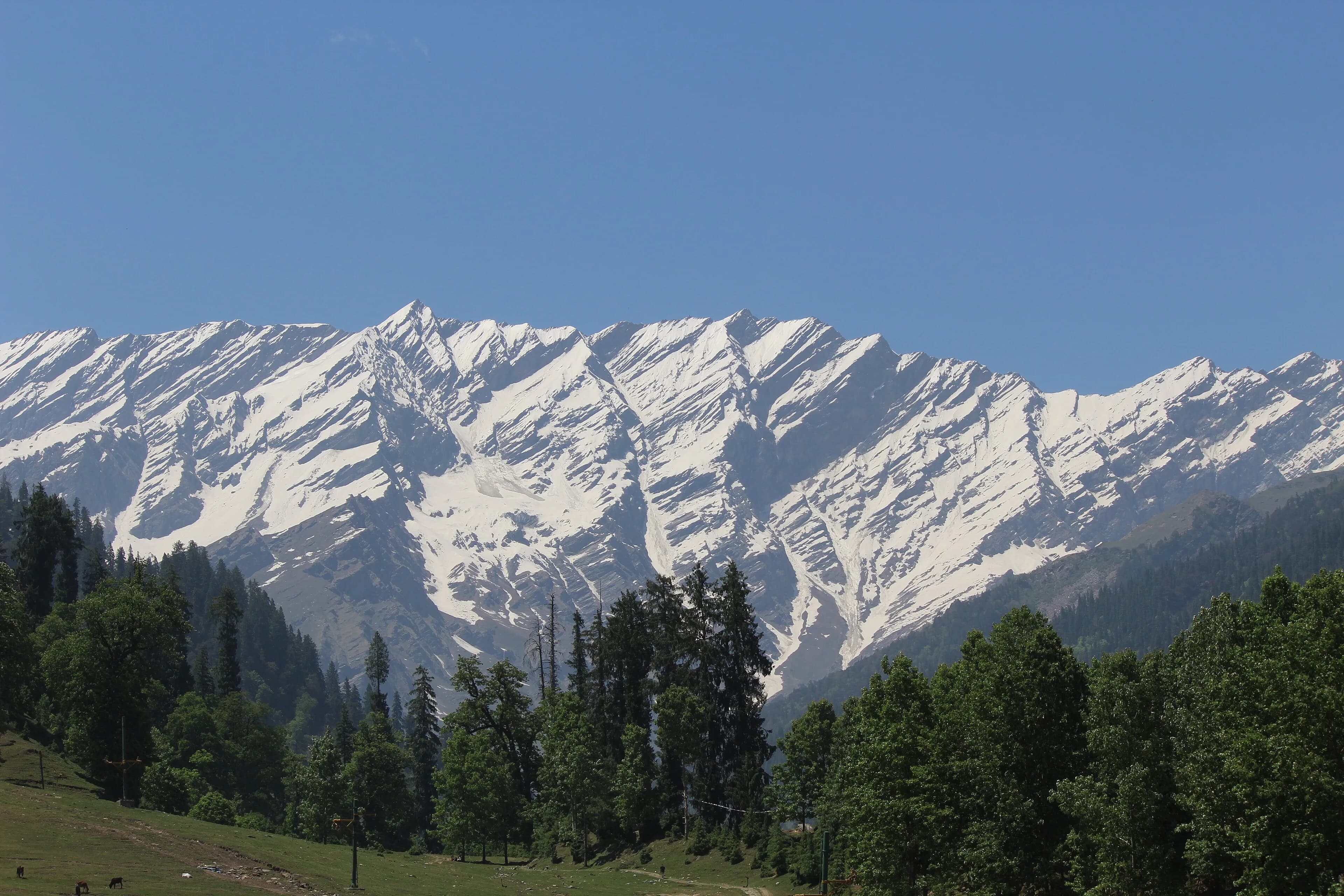 Manali Honeymoon, Snow & Solang Valley
