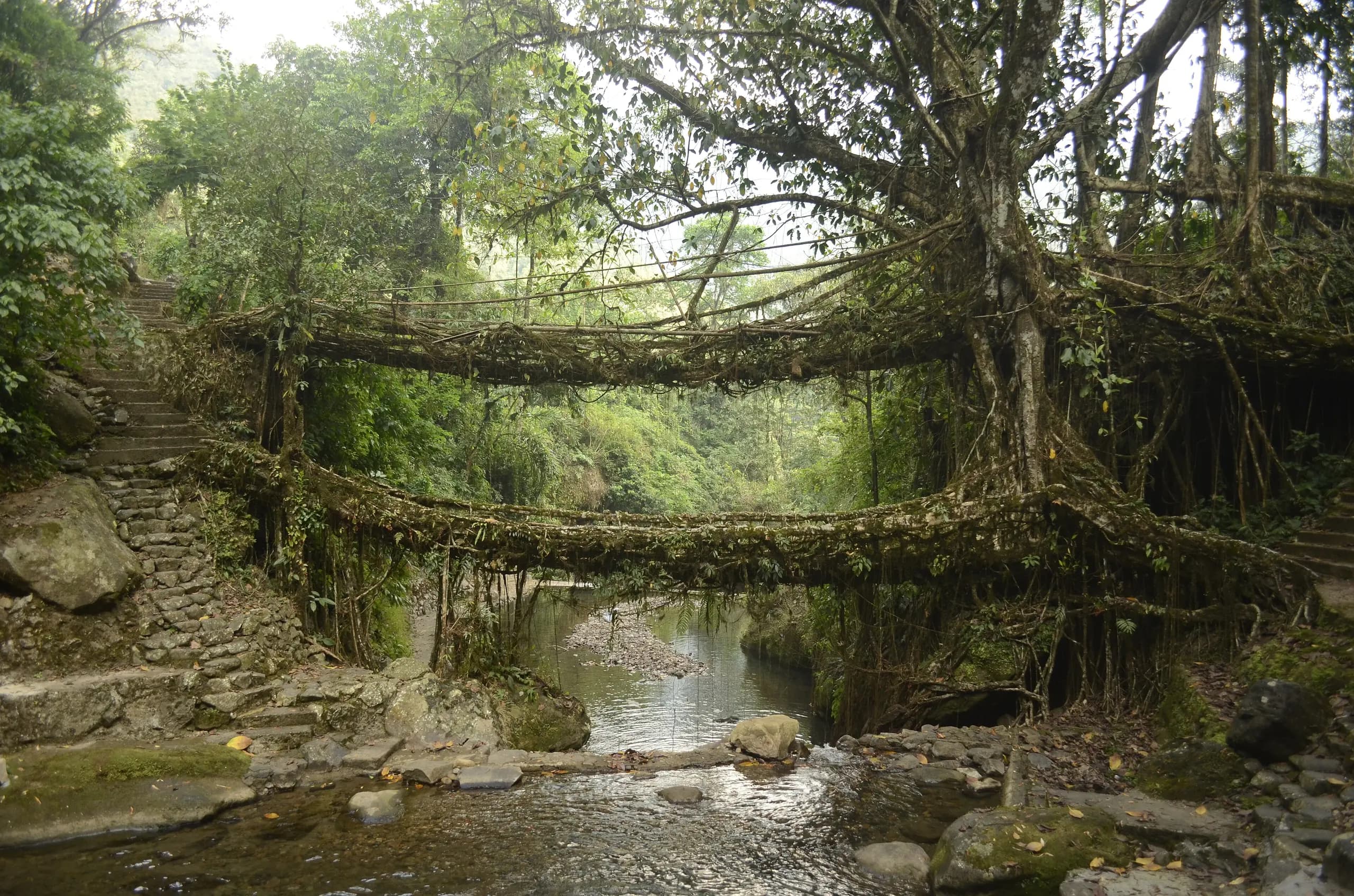 Meghalaya Highlights, Shillong, Cherrapunji & Dawki