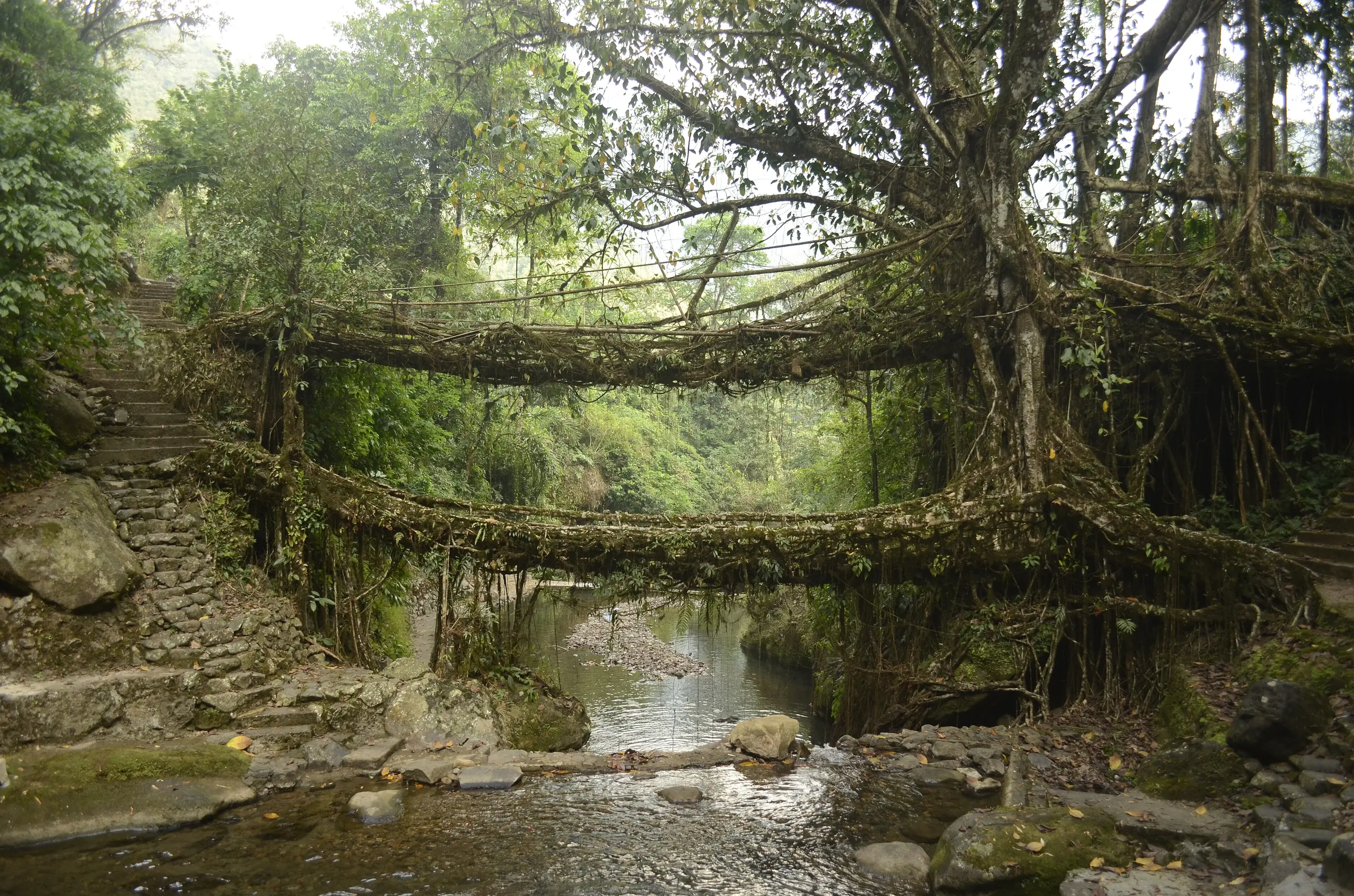 Meghalaya Highlights, Shillong, Cherrapunji & Dawki