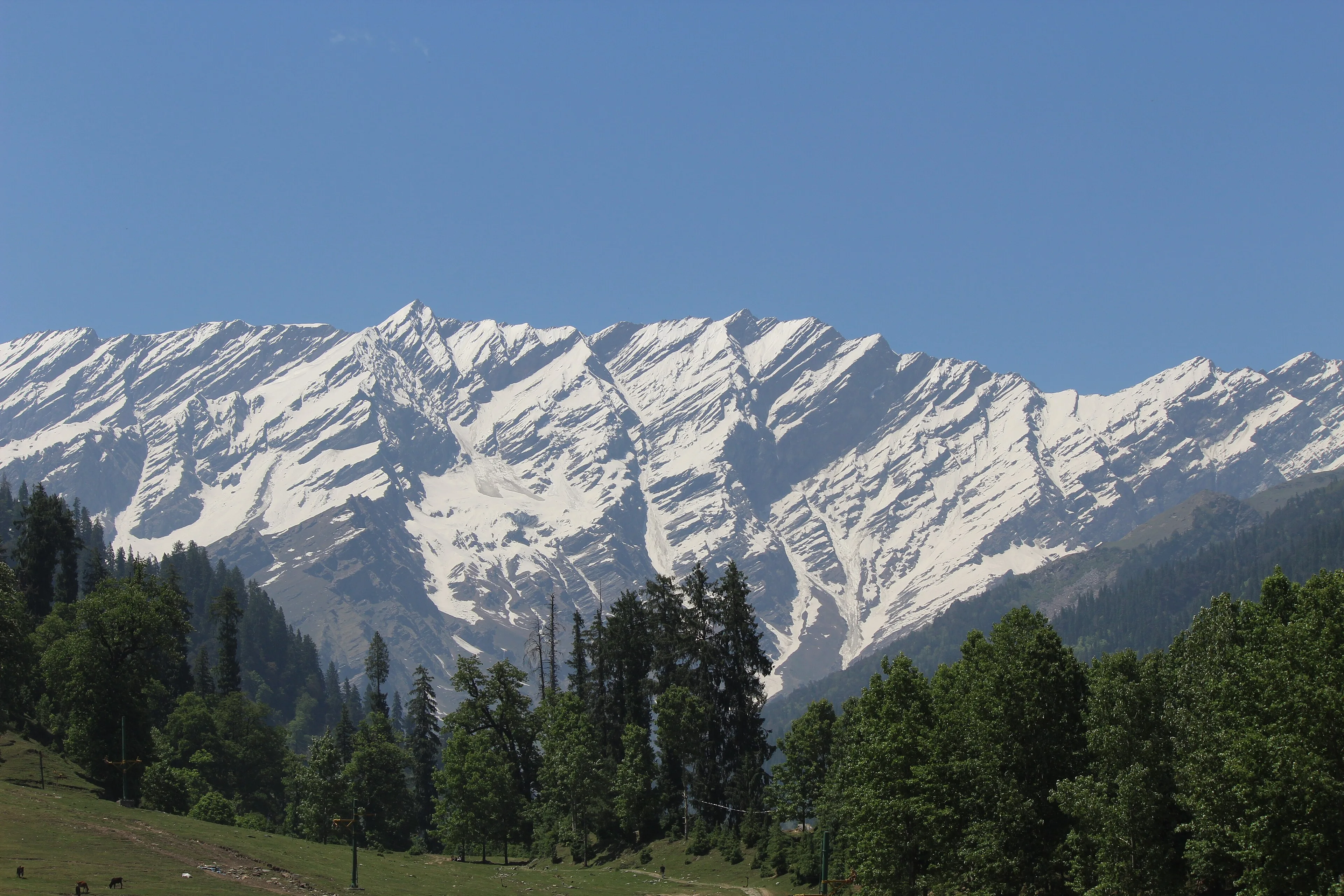 Manali Honeymoon, Snow & Solang Valley
